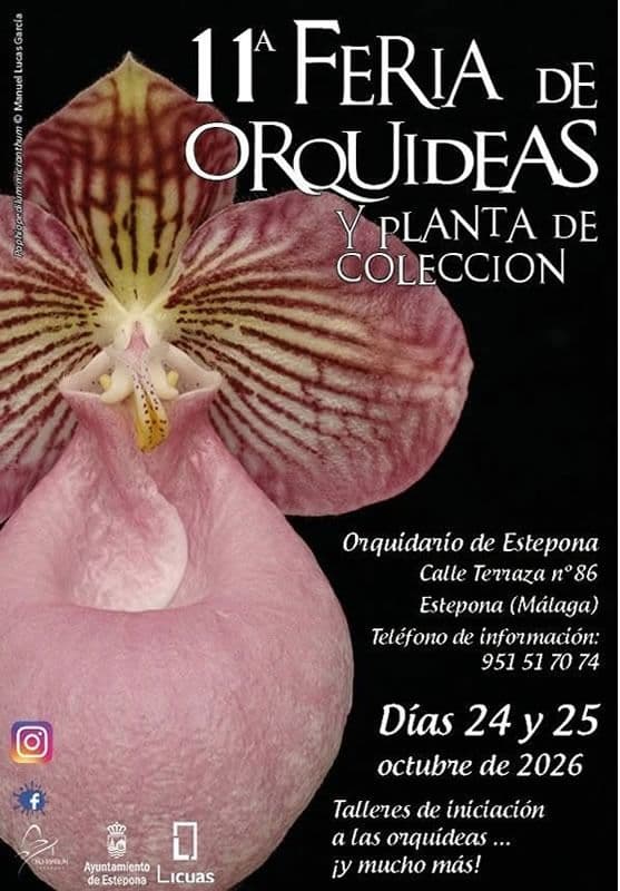 El Parque Botánico-Orquidario acogerá este fin de semana la 11ª Feria de Orquídeas y Planta de Colección