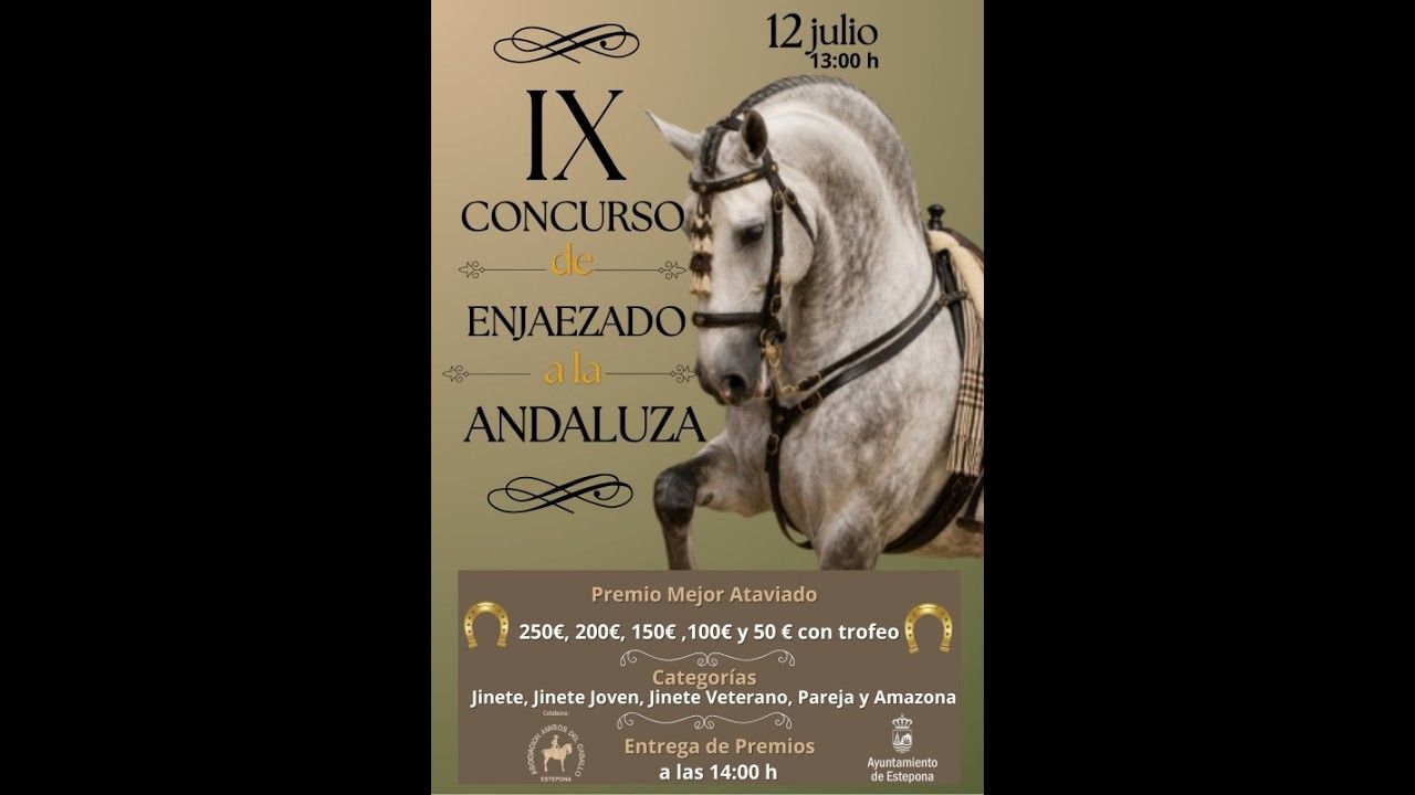 IX CONCURSO DE ENJAEZADO A LA ANDALUZA